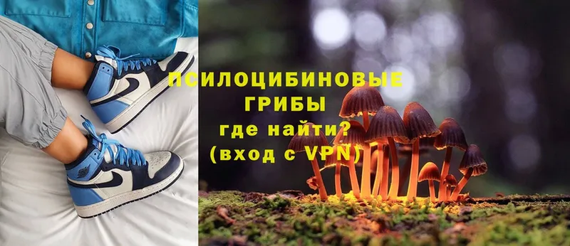 Галлюциногенные грибы Cubensis  даркнет сайт  Волгореченск 